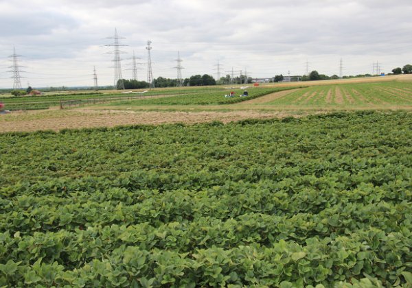 Diverse Diverse Fotos